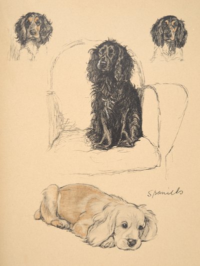 Spaniels, 1930, Illustrationen aus seinem Skizzenbuch verwendet für 